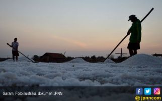 Garam Mendadak Hilang di Pasaran, Ada Apa? - JPNN.com