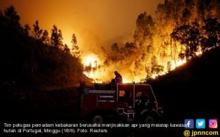 Kebakaran Hutan Landa Portugal, 62 Tewas, 50 Terluka - JPNN.com