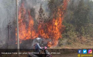 Kebakaran Hutan Berpotensi Terjadi di Kalteng - JPNN.com