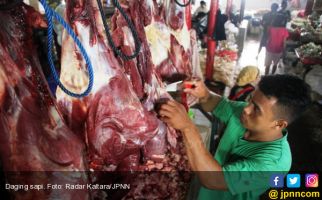 Jelang Natal Harga Daging Sapi Masih Normal - JPNN.com