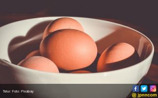 Krisis Ekonomi, Telur Ayam Jadi Bonus Gaji - JPNN.com