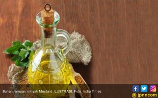 Ketahuilah, Ini Manfaat Minyak Mustard untuk Kesehatan - JPNN.com