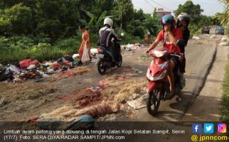 Kurang Ajar! Pengusaha Sengaja Sebar Limbah Ayam di Tengah Jalan - JPNN.com