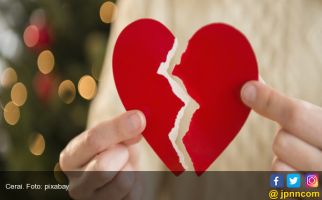 Angka Perceraian Tinggi, Bukan Semata Ulah Pelakor - JPNN.com