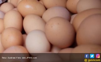 Cara Membedakan Telur Infertil dan Fertil, Ada Syarat saat Dikonsumsi - JPNN.com