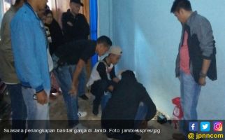 Bandar Narkoba Dibekuk, Belasan Paket Ganja Disita - JPNN.com