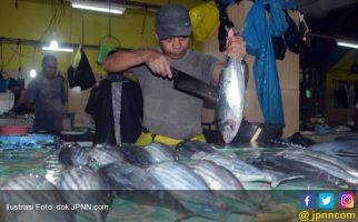 Pontianak Gelar Festival dan Lomba Masak Ikan Nusantara untuk Jokowi - JPNN.com