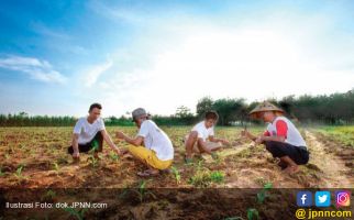 Puluhan Penyuluh Pertanian Terancam Batal jadi CPNS - JPNN.com