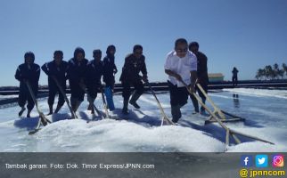 Garam NTT Berpotensi Besar Jadi Pengganti Impor - JPNN.com