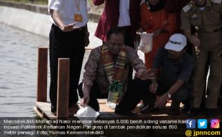 Menteri Nasir Menebar 5.000 Benih Udang Hasil Inovasi Politani Pangkep - JPNN.com