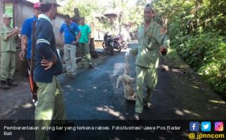 Anjing Liar dan Galak Boleh Langsung Ditembak - JPNN.com
