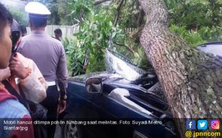 Pohon Tumbang di Medan Timpa 14 Mobil, 4 Motor dan 3 Betor - JPNN.com