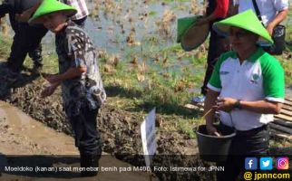 Bali Siap Jadi Proyek Percontohan Benih Padi M400 - JPNN.com