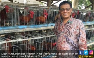 Penjelasan Kementan soal Penurunan Populasi Ayam Petelur di Blitar - JPNN.com