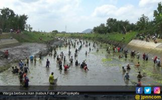 Banyak Ikan Mabuk, Warga Serbu Sungai - JPNN.com