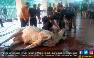 Plastik Pembungkus Daging Kurban Istiqlal Telah Bersertifikat Halal - JPNN.com