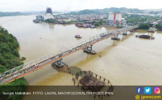 Naga Penghuni Sungai Mahakam Menampakkan Diri - JPNN.com