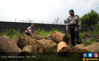 Angkut Kayu Perhutani, Diadang Polisi - JPNN.com