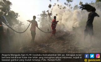 PP Gambut Lindungi Rakyat Indonesia dari Bencana Karhutla - JPNN.com