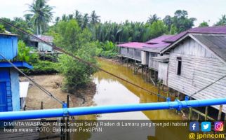 Buaya Putih Penunggu Sungai Menampakkan Diri - JPNN.com