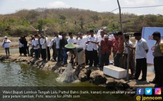 Penghasilan Petambak di Lombok Tengah Bisa 20 Juta per Bulan - JPNN.com