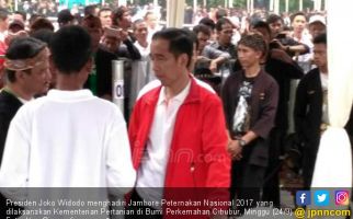 Presiden Jokowi: Pelihara Kambing Banyak Semakin Mudah - JPNN.com