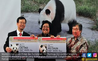 Tanda Persahabatan, Tiongkok Datangkan Panda ke Indonesia - JPNN.com