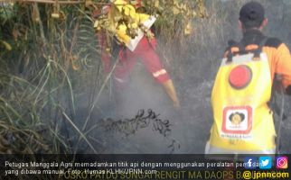 Pencegahan Dini, KLHK Berhasil Turunkan Luas Karhutla - JPNN.com