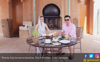 Shandy Aulia Maksimalkan Quality Time Bareng Suami di Kamar - JPNN.com
