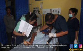 Usai Gigit Bocah, Anjing Gila Itu Dijadikan Lauk Bersama - JPNN.com