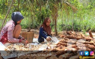 Jokowi Serahkan SK Pemanfaatan Hutan Untuk Petani di Bekasi - JPNN.com