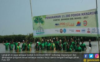 Peduli Lingkungan, BEST Tanam 11.200 Pohon Mangrove - JPNN.com