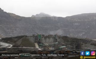 Bangun Smelter, Freeport Sewa Lahan di Gresik Selama 5 Tahun - JPNN.com