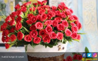 Tips Menjaga Bunga Agar Segar Lebih Lama   - JPNN.com