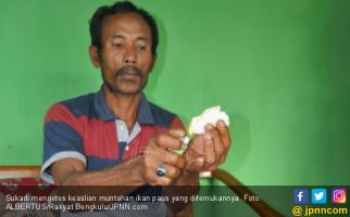 Muntahan Ikan Paus Ditawar Rp 3,3 M, Pemilik Susah Tidur - JPNN.com