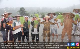 Diguyur Hujan, Bupati Karolin Pantang Menyerah Bareng Petani - JPNN.com