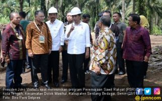 Jokowi Pengin Indonesia Bisa Terdepan soal Pengelolaan Sawit - JPNN.com