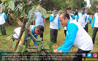 Miniatur Hutan Hijaukan Bandara Soekarno Hatta - JPNN.com