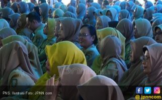 Usulan Penetapan CPNS Hasil Seleksi 2017 Ditenggat Februari - JPNN.com