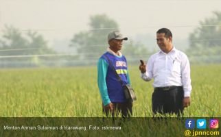 Mentan Perkirakan Harga Beras Tetap Stabil Hingga Juni - JPNN.com