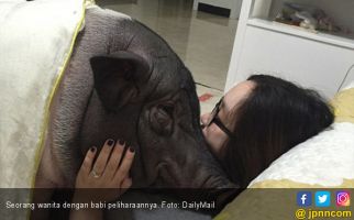 Heboh Kisah Asmara Manusia dan Babi di Akun Mamah Dedeh - JPNN.com