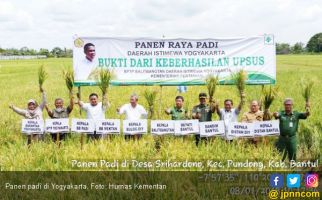 Tiada Hari Tanpa Panen di Yogyakarta - JPNN.com