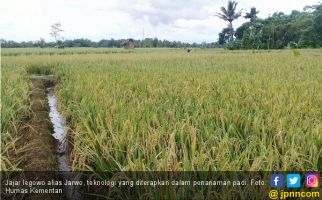 Jarwo Tingkatkan Produksi Padi di Pandeglang   - JPNN.com