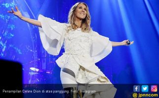 Benarkah Celine Dion Mengoleksi 10 Ribu Sepatu? - JPNN.com