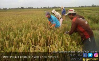 Petani Zaman Now Harus Kreatif dan Melek Teknologi - JPNN.com