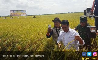 Tim Sergab Targetkan Beli 4,4 Juta Ton Gabah Petani - JPNN.com