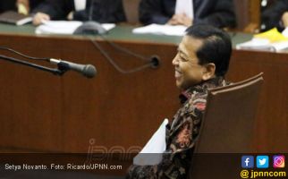 PD Kesal Dengar Tangkisan PDIP soal Tudingan Setya Novanto - JPNN.com