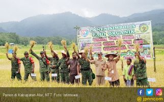 Panen Setiap Hari, Kabupaten Alor Siap Swasembada Pangan - JPNN.com