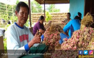 Harga Aman Bawang Merah di Atas Rp 15 Ribu per Kilogram - JPNN.com