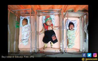 Bayi Terbesar Baru Lahir di Sidoarjo - JPNN.com